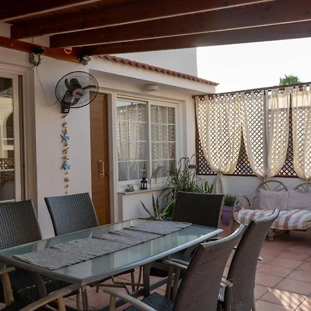 Kamilla- Kaparis * 파라림니